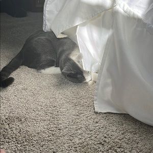 Meet your Posher, Andrea